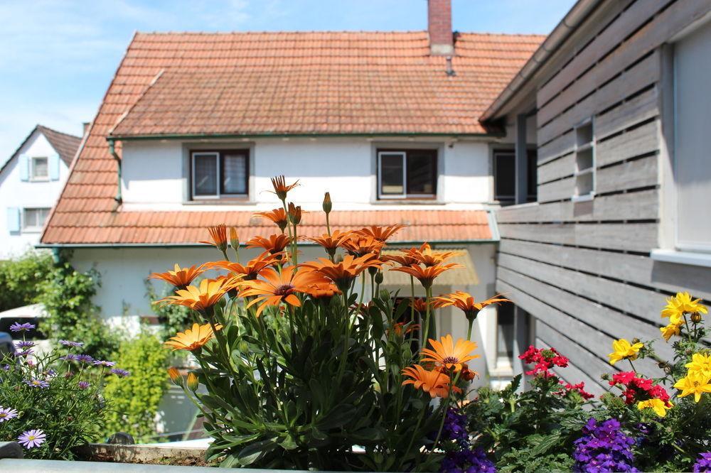 Hotel Sunnegässle - Ep-eintrittskarten Für Jeden Beliebigen Tag über Uns Erhältlich! 3*